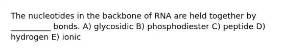 The nucleotides in the backbone of RNA are held together by __________ bonds. A) glycosidic B) phosphodiester C) peptide D) hydrogen E) ionic