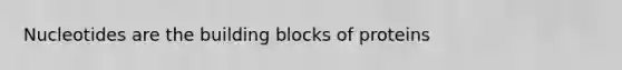 Nucleotides are the building blocks of proteins