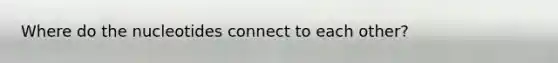 Where do the nucleotides connect to each other?