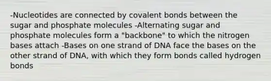 -Nucleotides are connected by covalent bonds between the sugar and phosphate molecules -Alternating sugar and phosphate molecules form a "backbone" to which the nitrogen bases attach -Bases on one strand of DNA face the bases on the other strand of DNA, with which they form bonds called hydrogen bonds