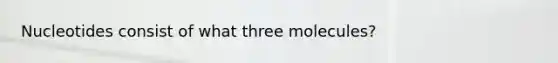 Nucleotides consist of what three molecules?