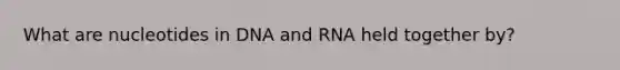 What are nucleotides in DNA and RNA held together by?