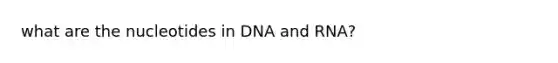 what are the nucleotides in DNA and RNA?