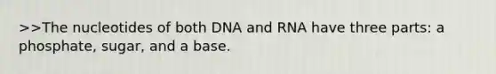 >>The nucleotides of both DNA and RNA have three parts: a phosphate, sugar, and a base.