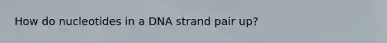 How do nucleotides in a DNA strand pair up?