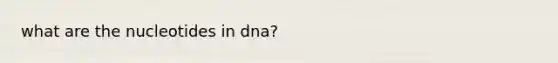what are the nucleotides in dna?
