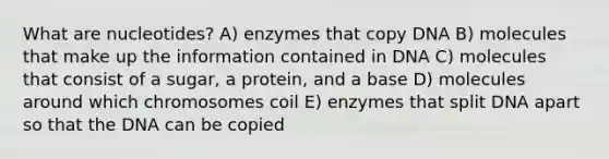 What are nucleotides? A) enzymes that copy DNA B) molecules that make up the information contained in DNA C) molecules that consist of a sugar, a protein, and a base D) molecules around which chromosomes coil E) enzymes that split DNA apart so that the DNA can be copied