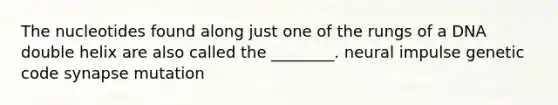 The nucleotides found along just one of the rungs of a DNA double helix are also called the ________. neural impulse genetic code synapse mutation