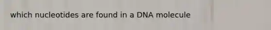 which nucleotides are found in a DNA molecule