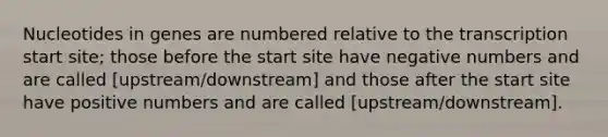 Nucleotides in genes are numbered relative to the transcription start site; those before the start site have negative numbers and are called [upstream/downstream] and those after the start site have positive numbers and are called [upstream/downstream].