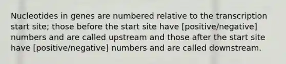 Nucleotides in genes are numbered relative to the transcription start site; those before the start site have [positive/negative] numbers and are called upstream and those after the start site have [positive/negative] numbers and are called downstream.