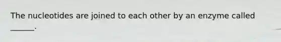 The nucleotides are joined to each other by an enzyme called ______.