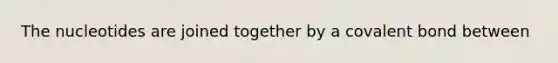 The nucleotides are joined together by a covalent bond between