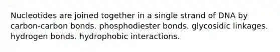 Nucleotides are joined together in a single strand of DNA by carbon-carbon bonds. phosphodiester bonds. glycosidic linkages. hydrogen bonds. hydrophobic interactions.