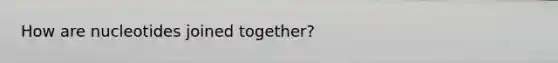 How are nucleotides joined together?