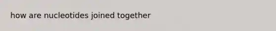 how are nucleotides joined together