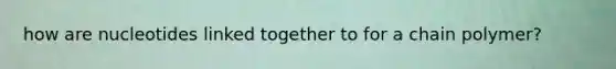 how are nucleotides linked together to for a chain polymer?