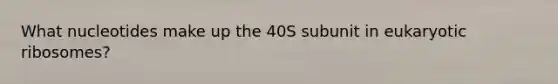 What nucleotides make up the 40S subunit in eukaryotic ribosomes?