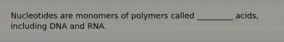 Nucleotides are monomers of polymers called _________ acids, including DNA and RNA.