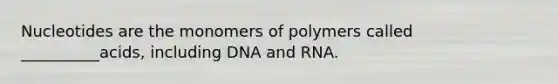 Nucleotides are the monomers of polymers called __________acids, including DNA and RNA.