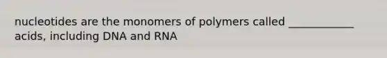 nucleotides are the monomers of polymers called ____________ acids, including DNA and RNA