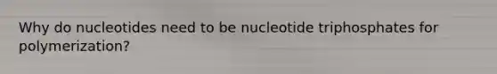 Why do nucleotides need to be nucleotide triphosphates for polymerization?