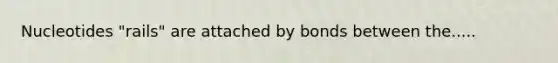 Nucleotides "rails" are attached by bonds between the.....