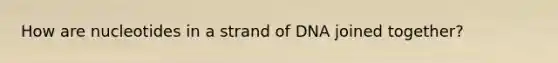 How are nucleotides in a strand of DNA joined together?