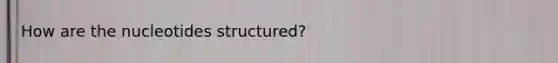 How are the nucleotides structured?