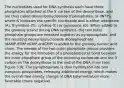 The nucleotides used for DNA synthesis each have three phosphates attached at the 5′ carbon of the deoxyribose, and are thus called deoxyribonucleoside triphosphates, or dNTPs, where N indicates the specific nucleoside and is either adenosine (A), thymidine (T), cytidine (C) or guanosine (G). When added to the growing strand during DNA synthesis, the two outer phosphate groups are released together as pyrophosphate, and the resulting deoxyribonucleoside monophosphate (dAMP,dTMP,dCMP,ordGMP) is added to the growing nucleic acid chain. The release of the two outer phosphate groups provides the energy for the formation of a phosphodiester bond between the inner phosphate group of the incoming nucleotide and the 3′ carbon on the deoxyribose at the end of the DNA chain (see Figure 3.9). The pyrophosphate is then hydrolyzed into two inorganic phosphates, releasing additional energy, which makes the overall free energy change of DNA polymerization more favorable (more negative).