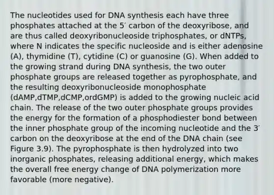 The nucleotides used for DNA synthesis each have three phosphates attached at the 5′ carbon of the deoxyribose, and are thus called deoxyribonucleoside triphosphates, or dNTPs, where N indicates the specific nucleoside and is either adenosine (A), thymidine (T), cytidine (C) or guanosine (G). When added to the growing strand during DNA synthesis, the two outer phosphate groups are released together as pyrophosphate, and the resulting deoxyribonucleoside monophosphate (dAMP,dTMP,dCMP,ordGMP) is added to the growing nucleic acid chain. The release of the two outer phosphate groups provides the energy for the formation of a phosphodiester bond between the inner phosphate group of the incoming nucleotide and the 3′ carbon on the deoxyribose at the end of the DNA chain (see Figure 3.9). The pyrophosphate is then hydrolyzed into two inorganic phosphates, releasing additional energy, which makes the overall free energy change of DNA polymerization more favorable (more negative).