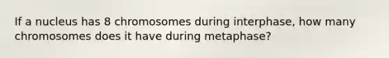 If a nucleus has 8 chromosomes during interphase, how many chromosomes does it have during metaphase?