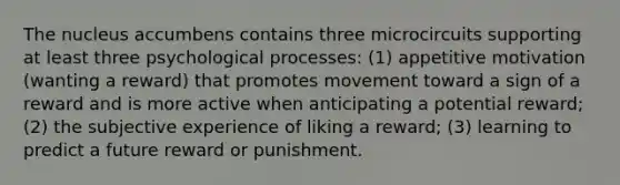 The nucleus accumbens contains three microcircuits supporting at least three psychological processes: (1) appetitive motivation (wanting a reward) that promotes movement toward a sign of a reward and is more active when anticipating a potential reward; (2) the subjective experience of liking a reward; (3) learning to predict a future reward or punishment.