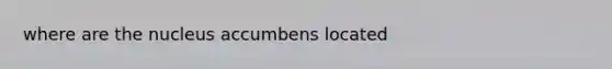 where are the nucleus accumbens located