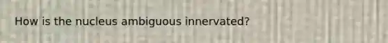 How is the nucleus ambiguous innervated?