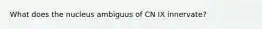 What does the nucleus ambiguus of CN IX innervate?