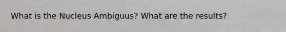 What is the Nucleus Ambiguus? What are the results?