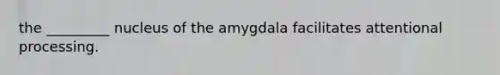 the _________ nucleus of the amygdala facilitates attentional processing.