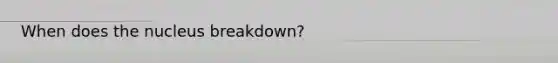 When does the nucleus breakdown?