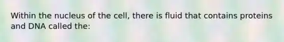 Within the nucleus of the cell, there is fluid that contains proteins and DNA called the: