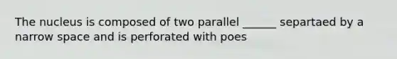 The nucleus is composed of two parallel ______ separtaed by a narrow space and is perforated with poes