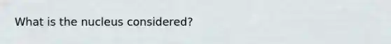 What is the nucleus considered?