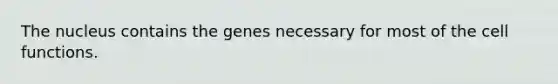 The nucleus contains the genes necessary for most of the cell functions.