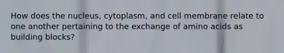 How does the nucleus, cytoplasm, and cell membrane relate to one another pertaining to the exchange of amino acids as building blocks?