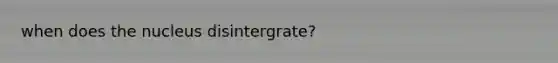 when does the nucleus disintergrate?