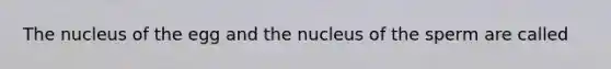 The nucleus of the egg and the nucleus of the sperm are called