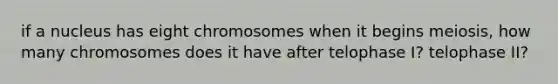 if a nucleus has eight chromosomes when it begins meiosis, how many chromosomes does it have after telophase I? telophase II?