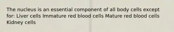 The nucleus is an essential component of all body cells except for: Liver cells Immature red blood cells Mature red blood cells Kidney cells