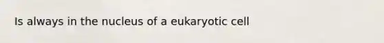 Is always in the nucleus of a eukaryotic cell