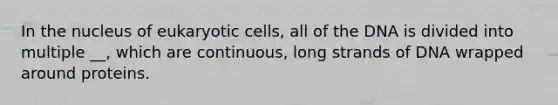 In the nucleus of eukaryotic cells, all of the DNA is divided into multiple __, which are continuous, long strands of DNA wrapped around proteins.